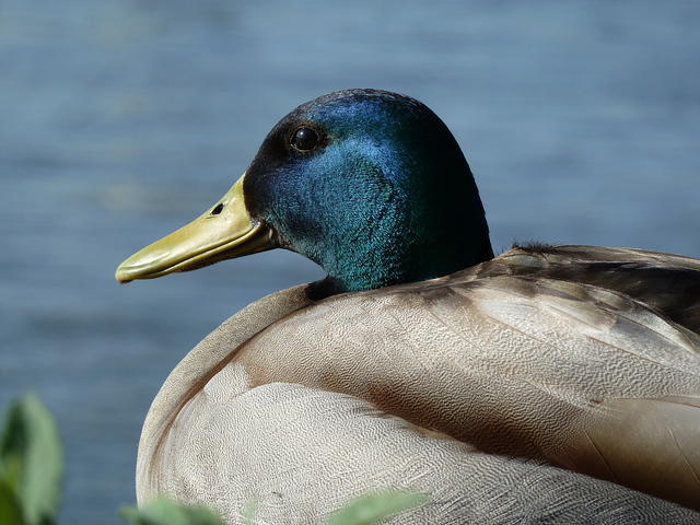 P1140879