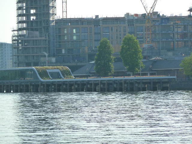 P1140891