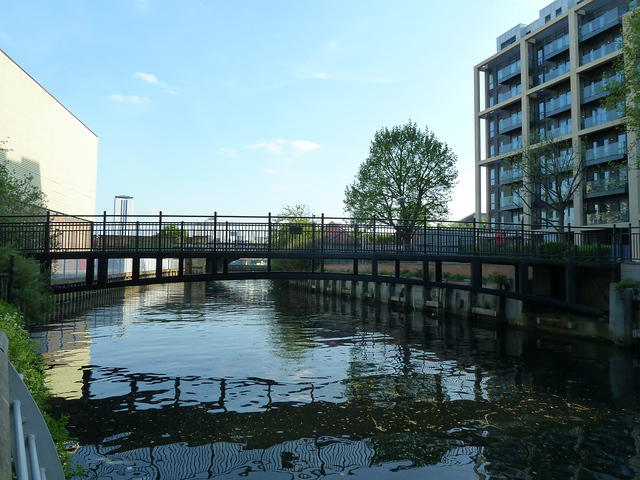 P1140899