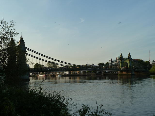 P1140919
