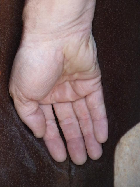 P1140991