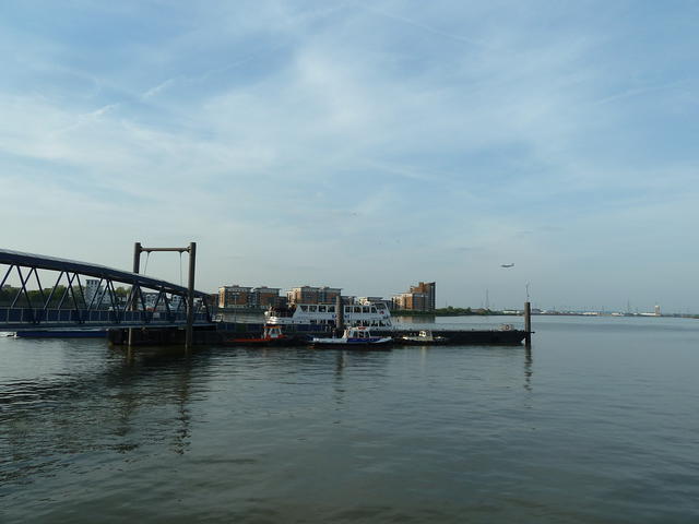 P1150010