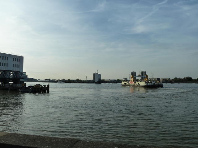 P1150019