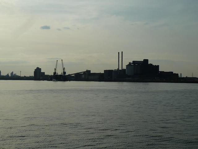 P1150021