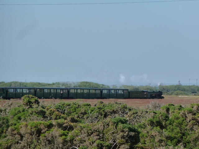 P1150201