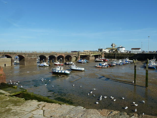 P1150202