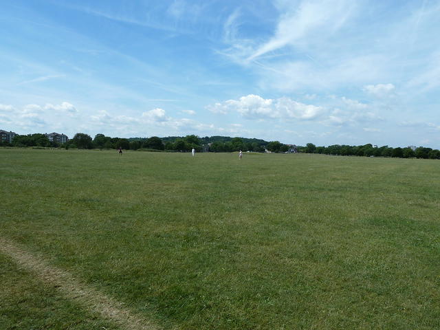 P1150569