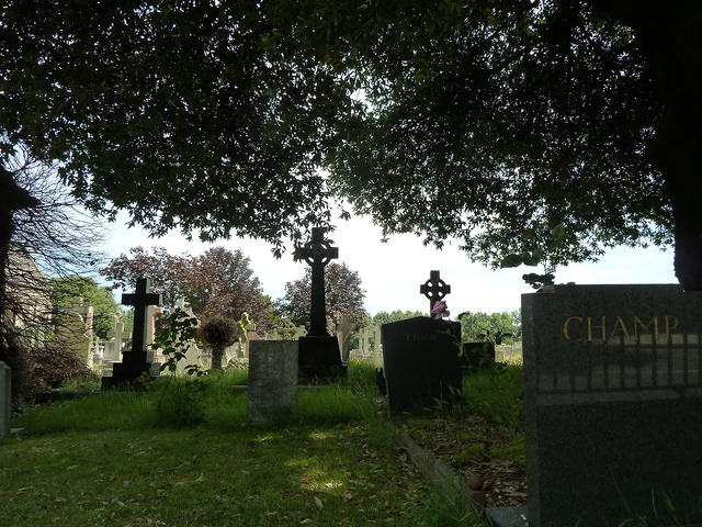 P1150578