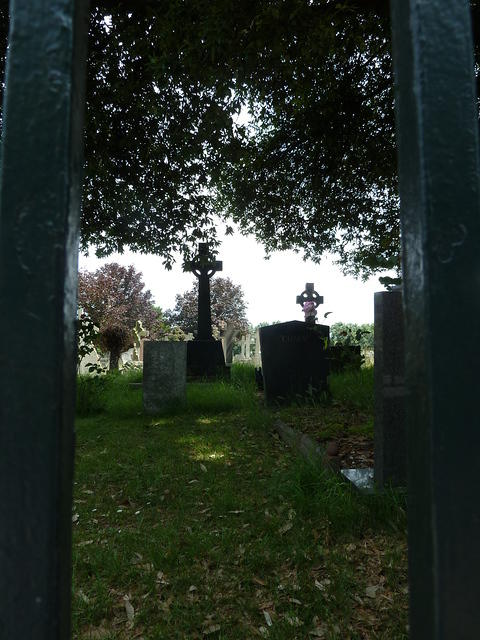P1150579