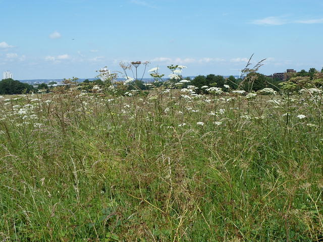 P1150588