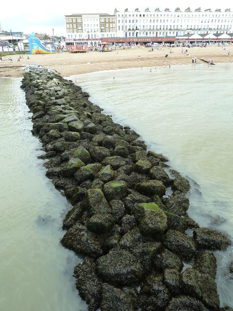 P1150972