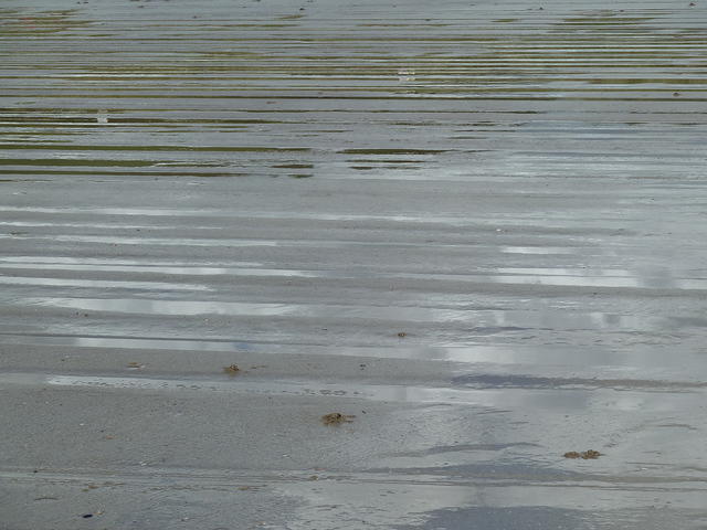 P1150702