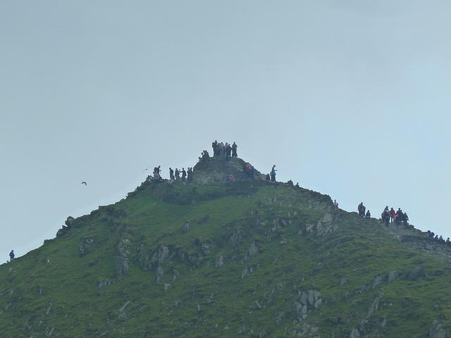 P1150315