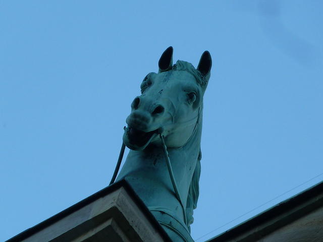 P1170456