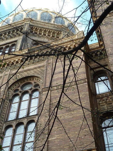 P1170708