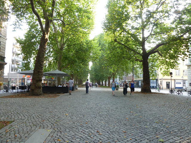 P1180687