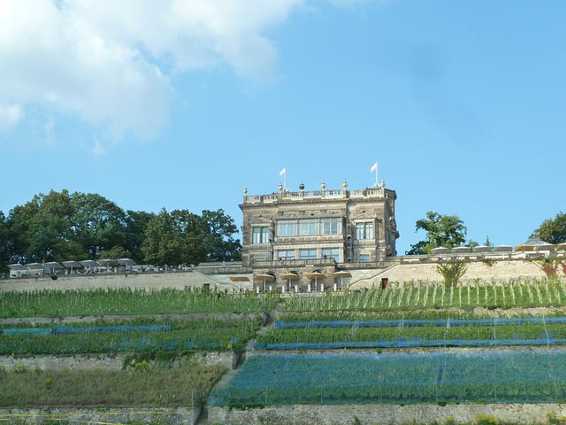 P1180779