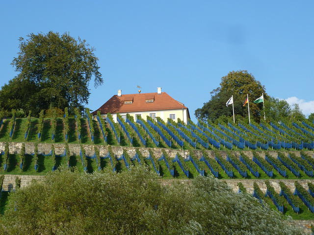 P1180784