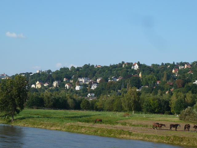 P1180812