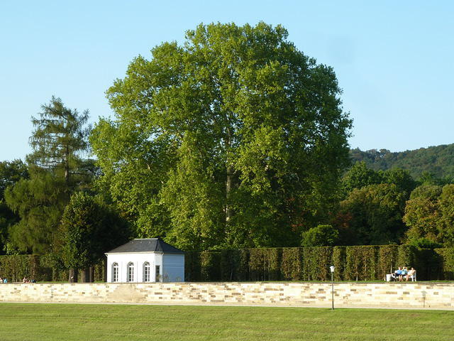 P1180840