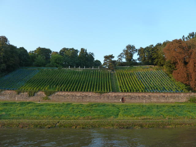 P1180866