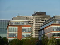 P1140918