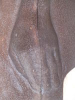 P1140992