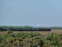 P1150201