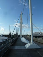 P1160504