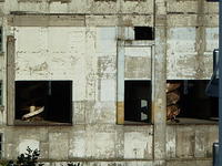 P1160510