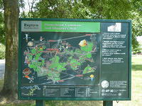 P1150574