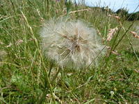 P1150589