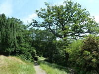 P1150596