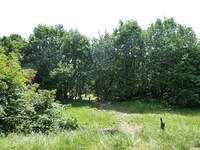 P1150597