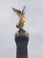 IMG 3142