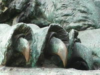 P1170590