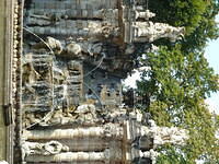 P1180459