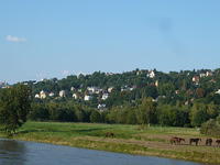 P1180812