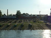 P1180834